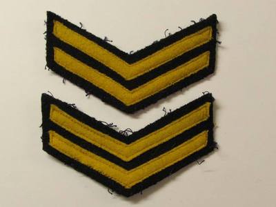 Embroidered Civil Defence Double Chevron Stripes 